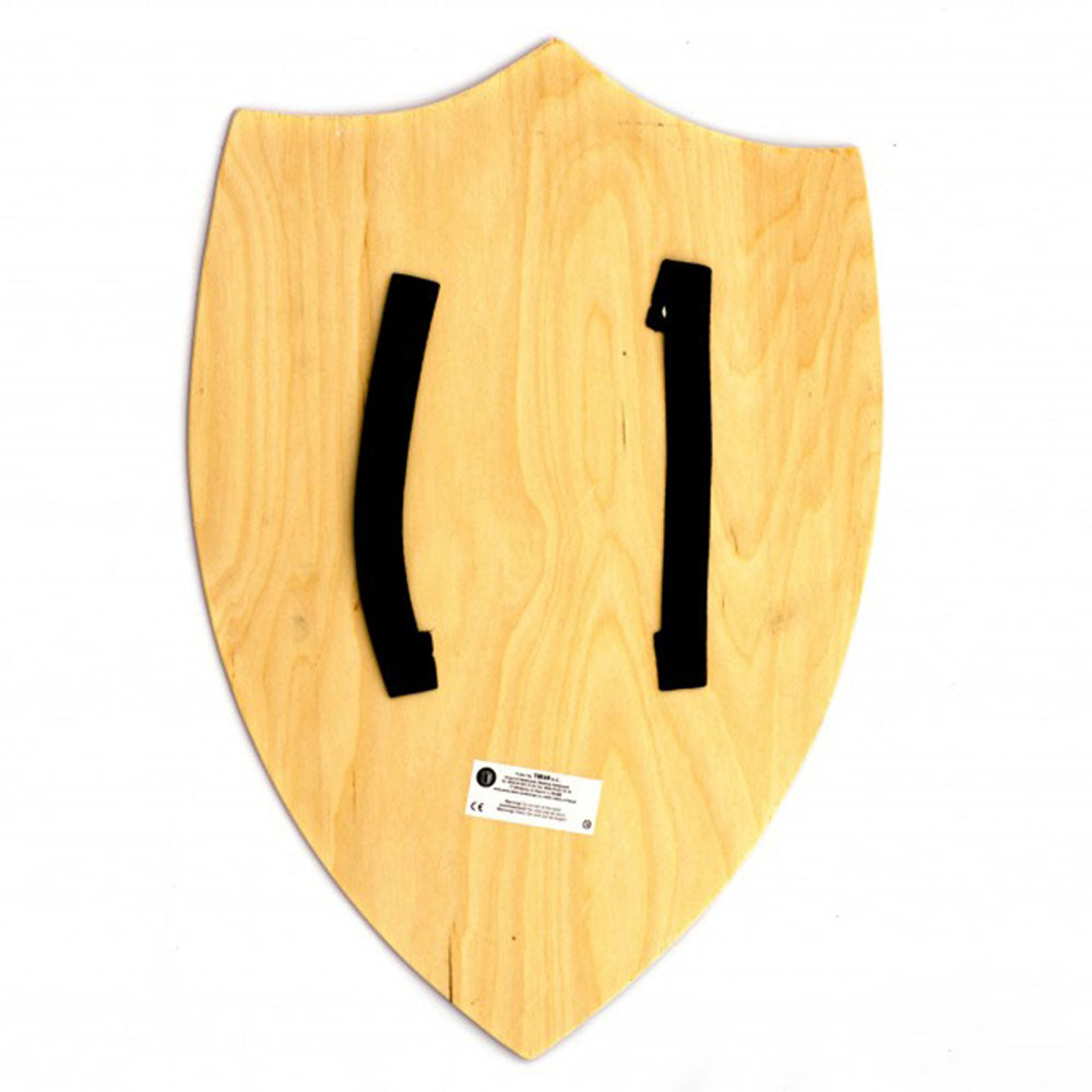 Kids Wooden Royal Lions Shield