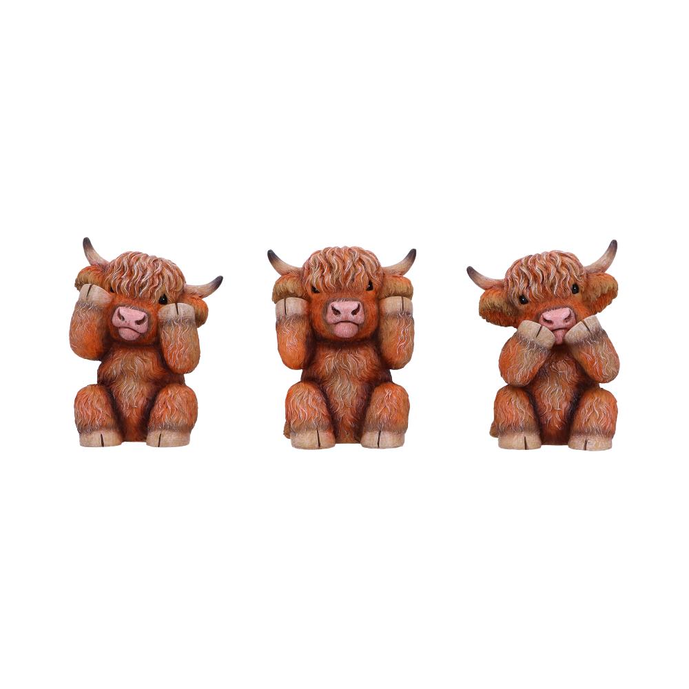 Three Wise Highland Cow Figurines